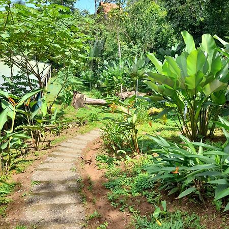 Hostel Osa Tucan Drake Drake Bay ภายนอก รูปภาพ