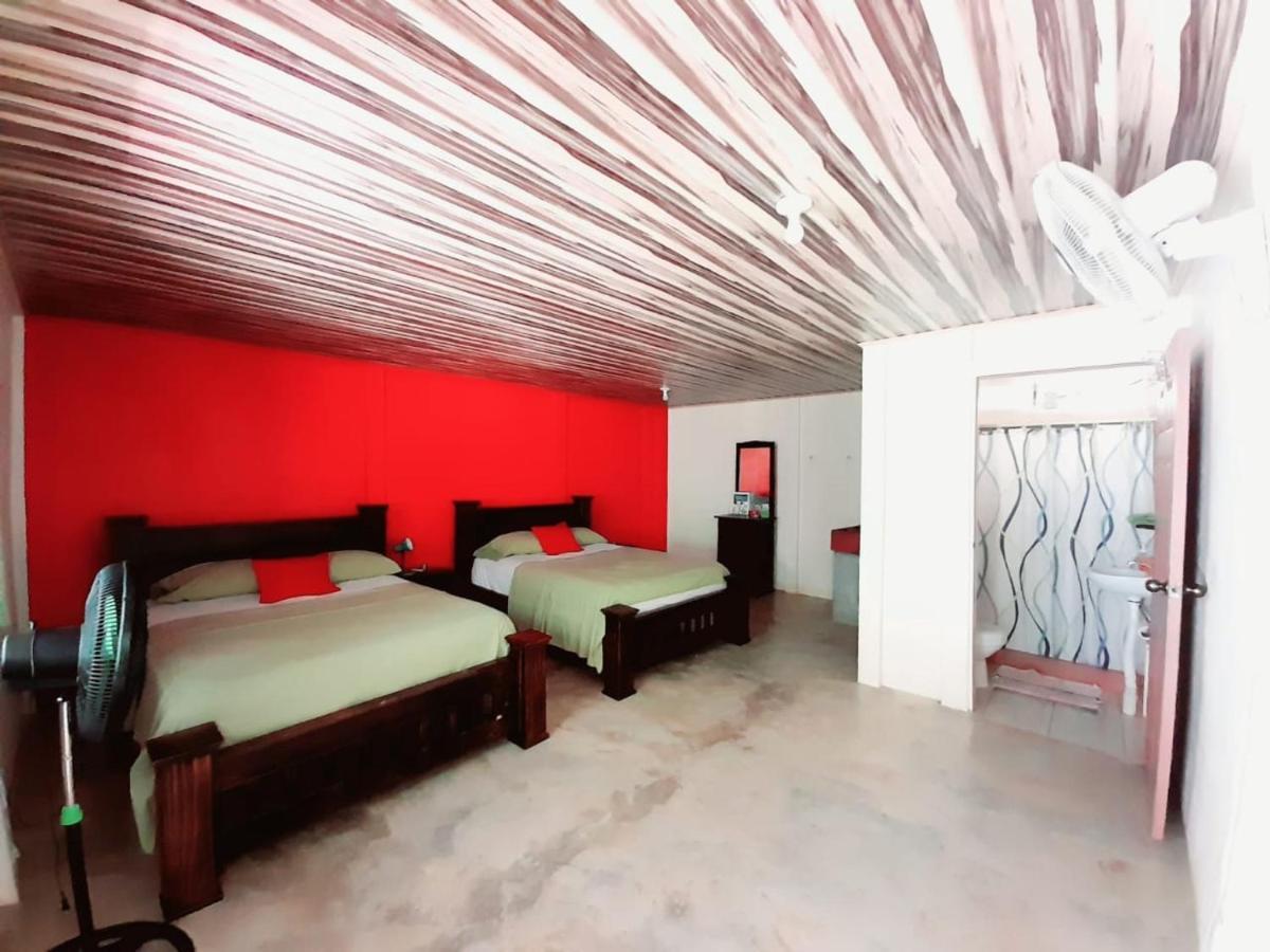Hostel Osa Tucan Drake Drake Bay ภายนอก รูปภาพ