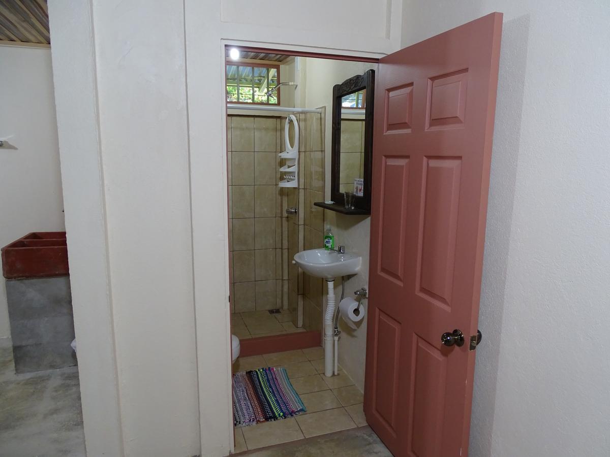 Hostel Osa Tucan Drake Drake Bay ภายนอก รูปภาพ