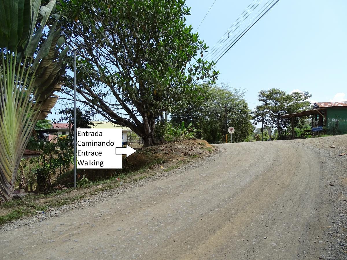 Hostel Osa Tucan Drake Drake Bay ภายนอก รูปภาพ