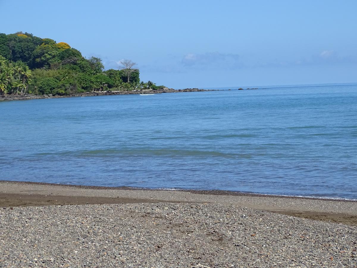 Hostel Osa Tucan Drake Drake Bay ภายนอก รูปภาพ
