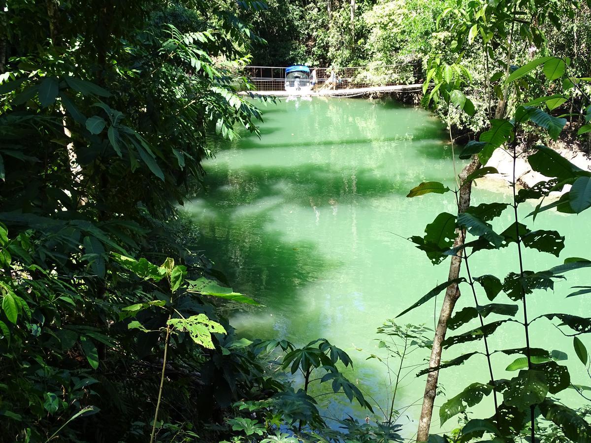 Hostel Osa Tucan Drake Drake Bay ภายนอก รูปภาพ