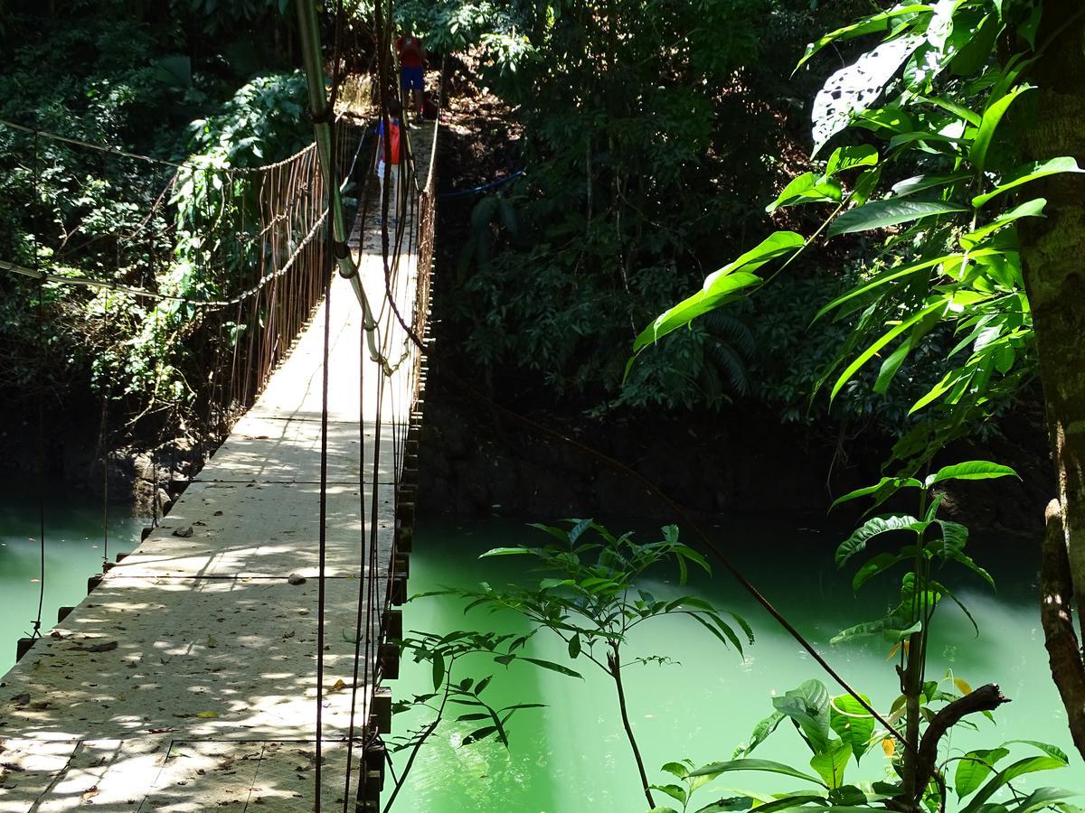 Hostel Osa Tucan Drake Drake Bay ภายนอก รูปภาพ