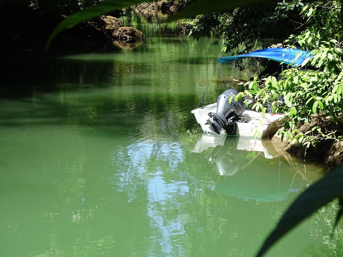 Hostel Osa Tucan Drake Drake Bay ภายนอก รูปภาพ