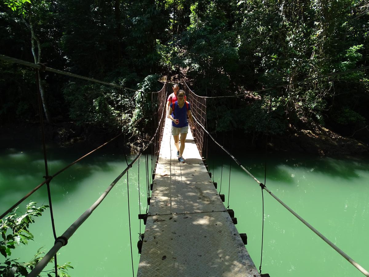 Hostel Osa Tucan Drake Drake Bay ภายนอก รูปภาพ