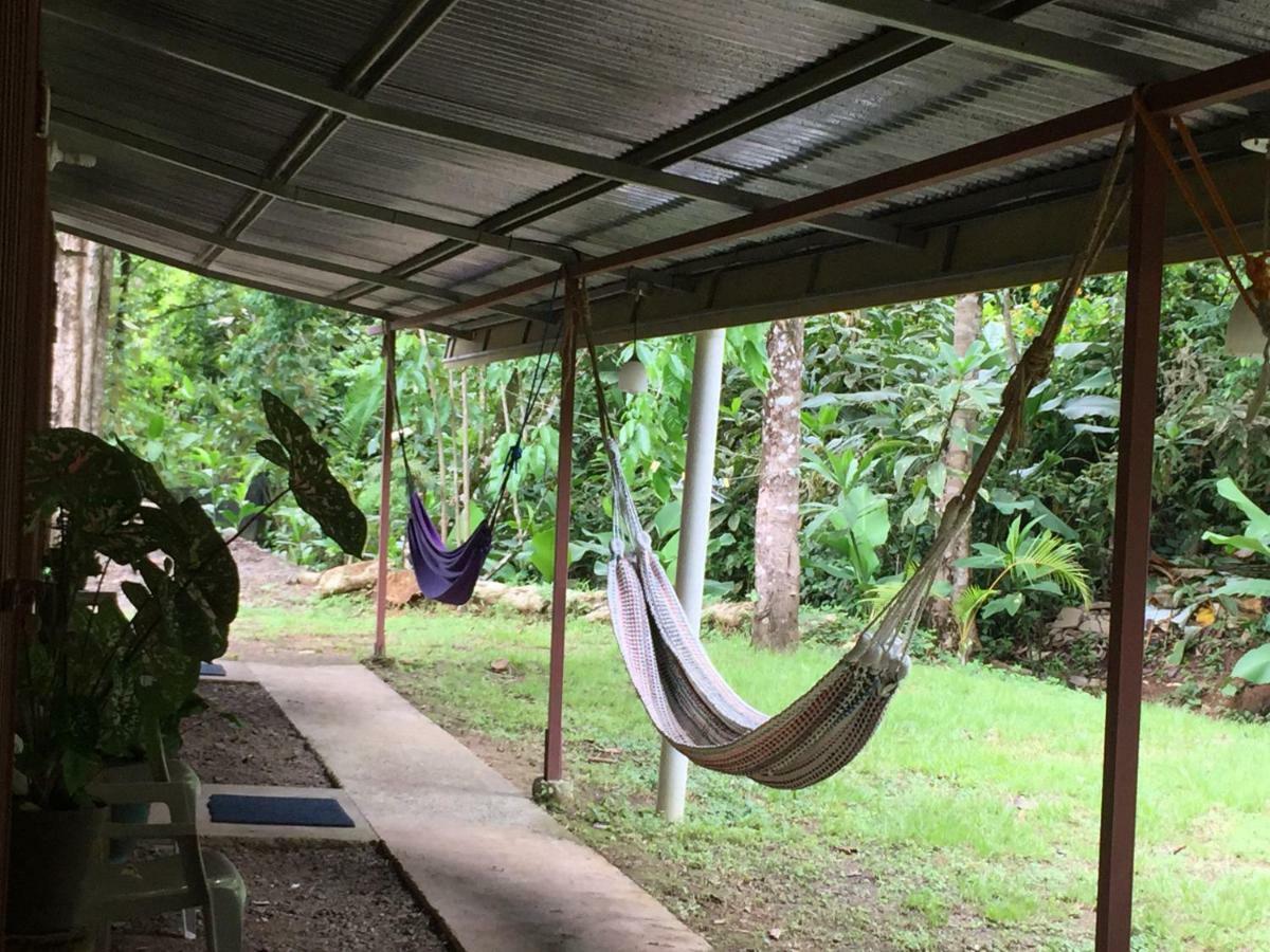 Hostel Osa Tucan Drake Drake Bay ภายนอก รูปภาพ
