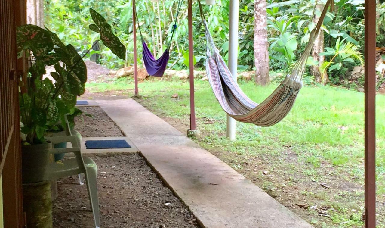 Hostel Osa Tucan Drake Drake Bay ภายนอก รูปภาพ