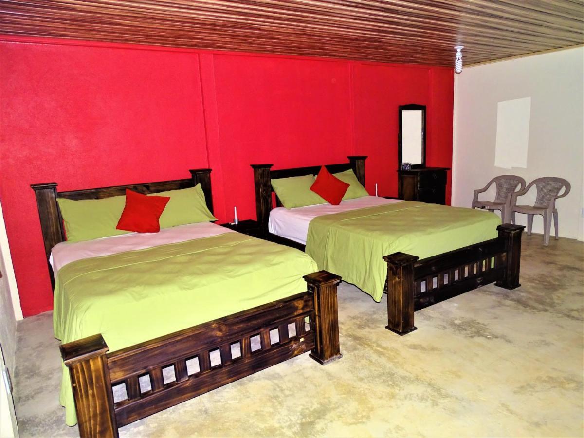 Hostel Osa Tucan Drake Drake Bay ภายนอก รูปภาพ