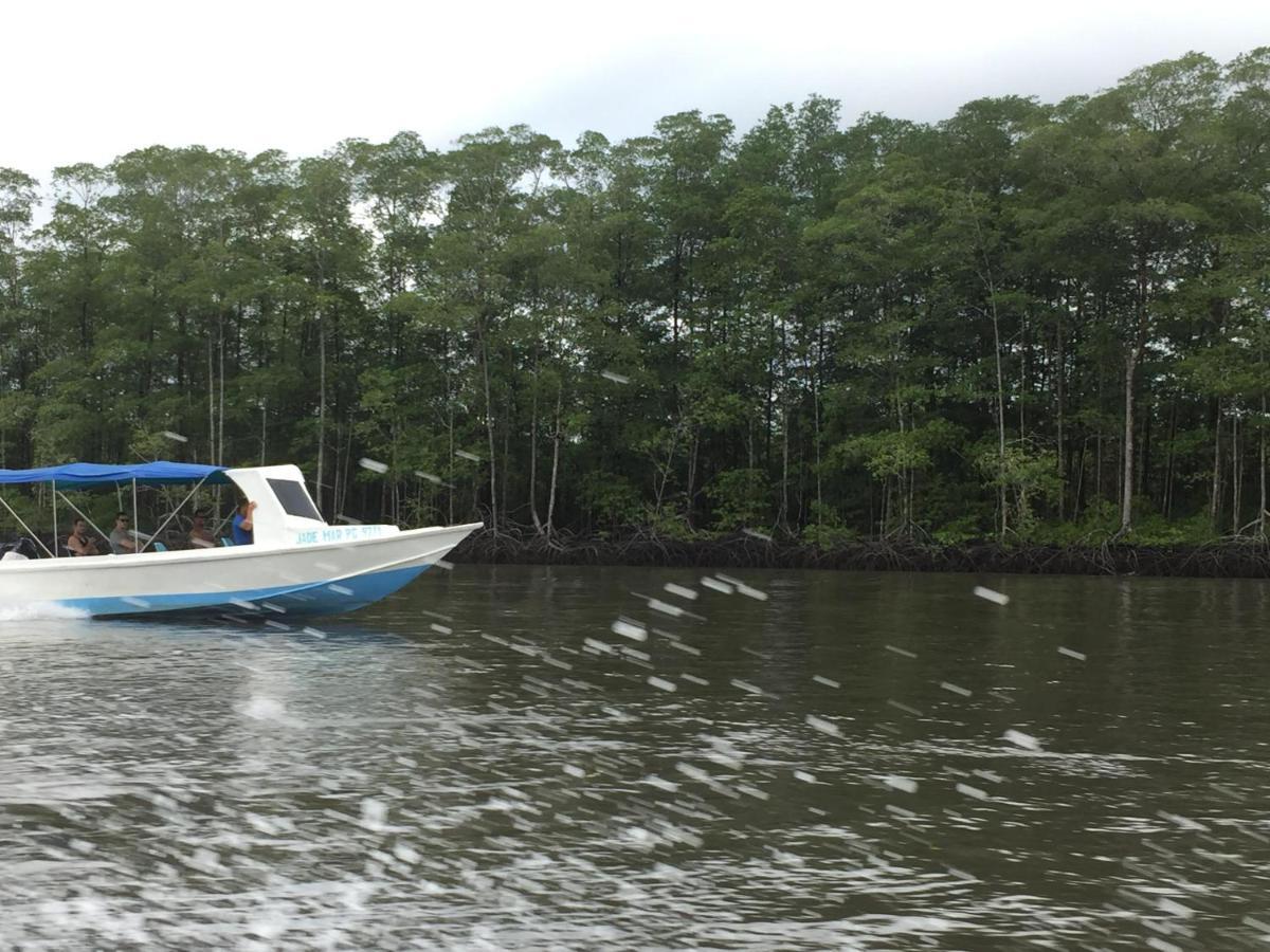 Hostel Osa Tucan Drake Drake Bay ภายนอก รูปภาพ